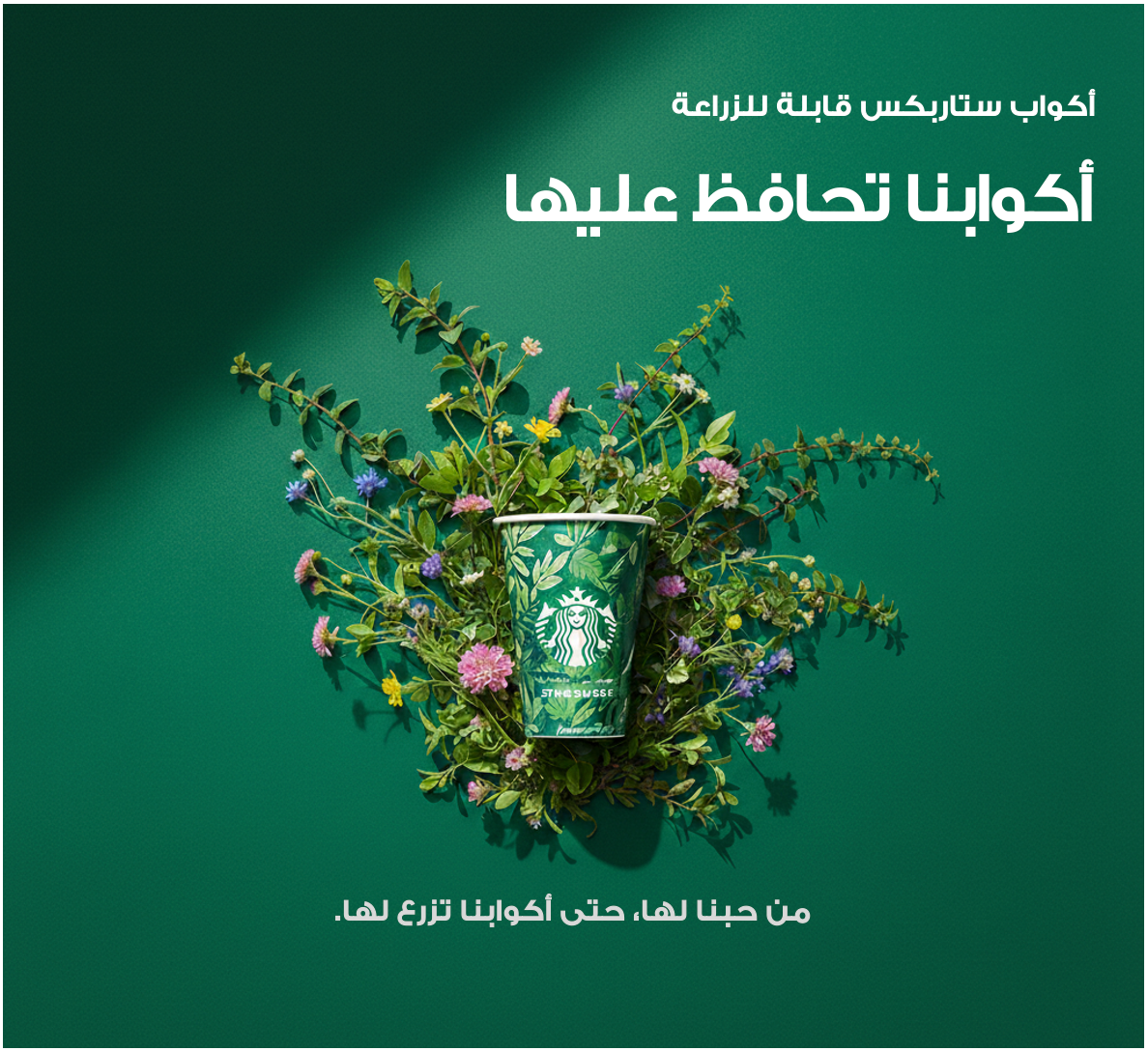 Starbucks eco cups